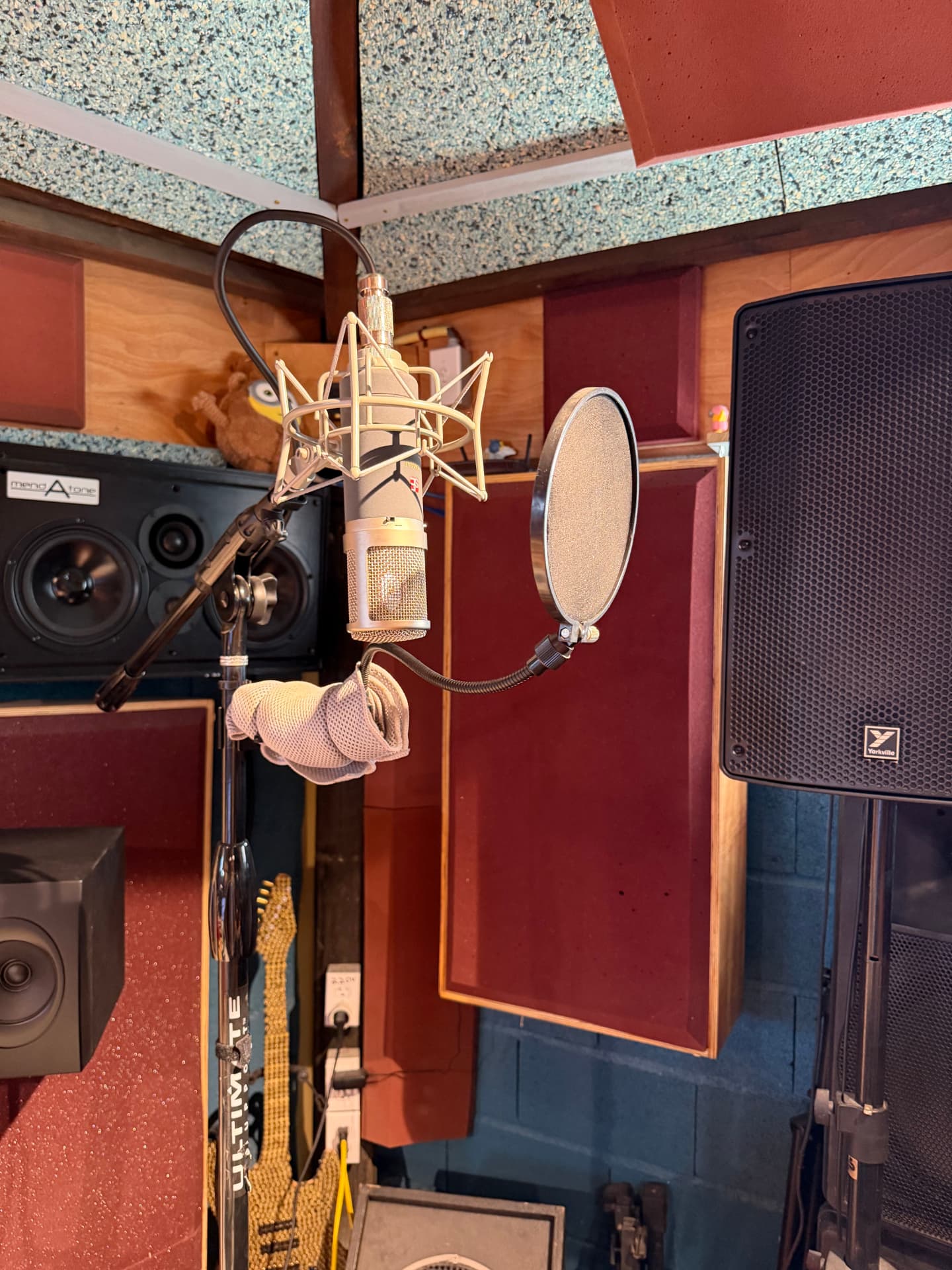 Large-diaphragm condenser microphone in the recording booth